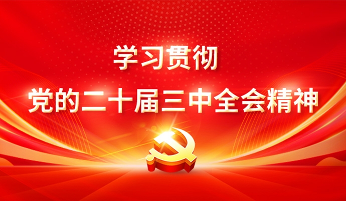 学习贯彻党的二十届三中全会精神