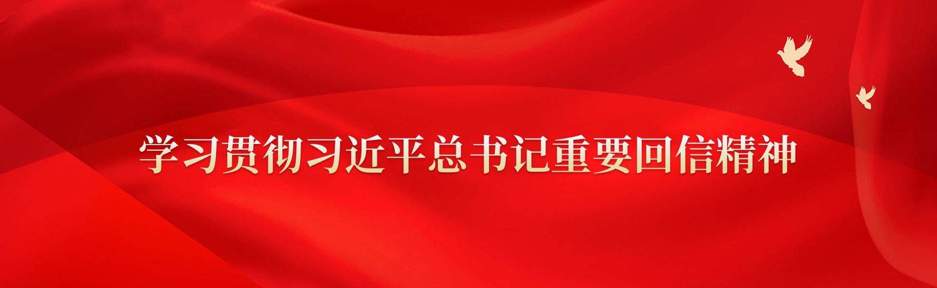 学习贯彻习近平总书记重要回信精神